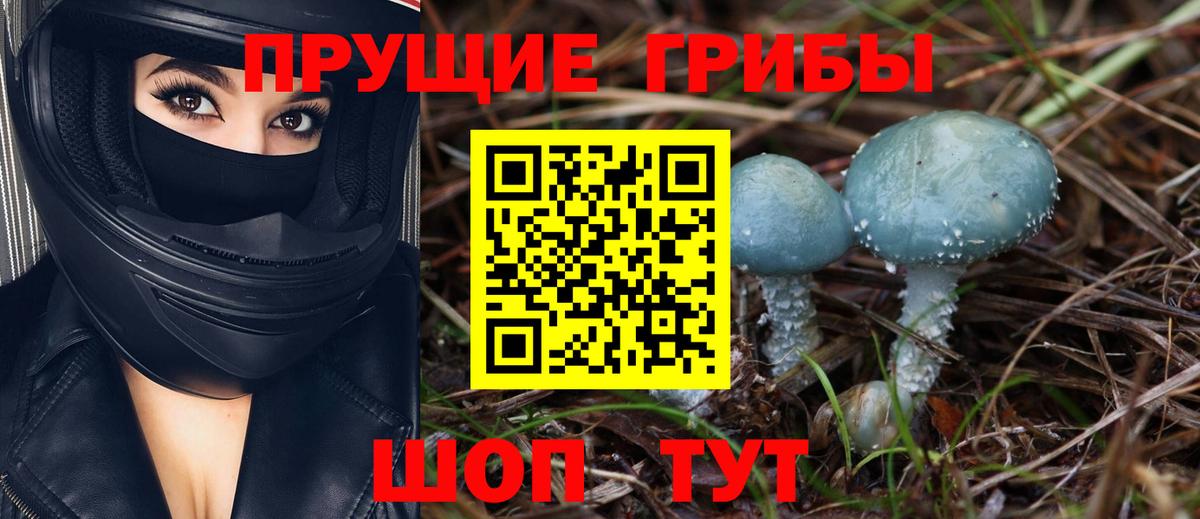 Дзержинск  Псилоцибиновые грибы мицелий  Вход с VPN 